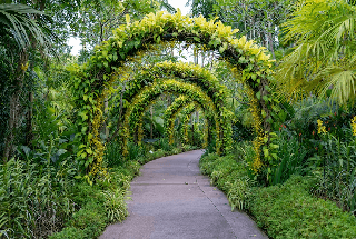 Central Garden